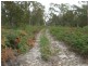 Lot 1 Carlton Bluff Road, Primrose Sands TAS 7173