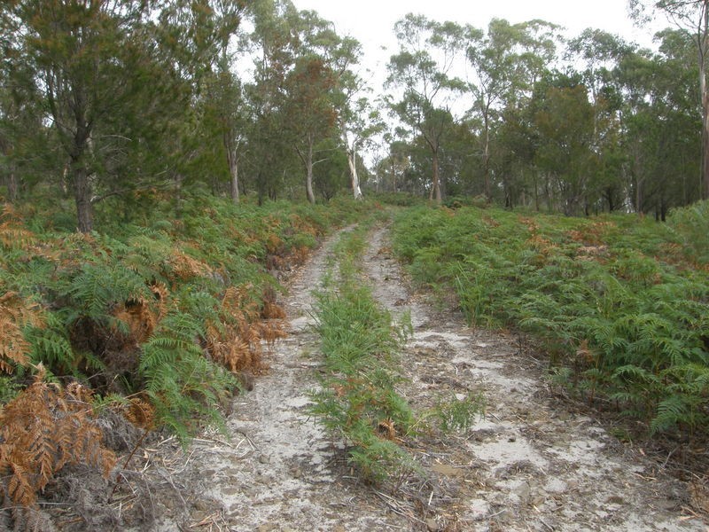 Lot 1 Carlton Bluff Road, Primrose Sands TAS 7173