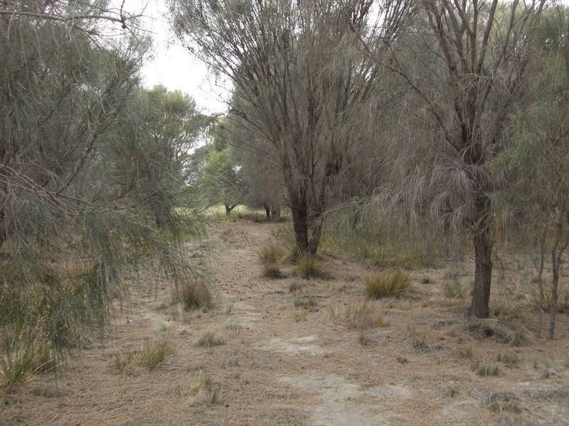 Lot 1 Carlton Bluff Road, Primrose Sands TAS 7173
