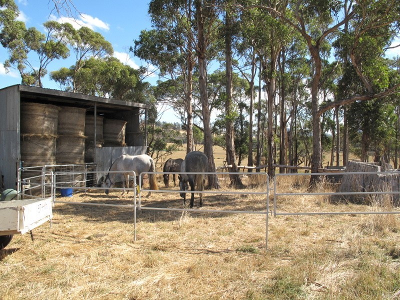 Lot 1 Prebbles Road, Copping TAS 7174