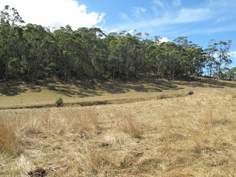 Lot 1 Prebbles Road, Copping TAS 7174