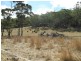 Lot 1 Prebbles Road, Copping TAS 7174