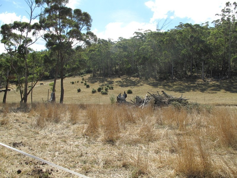 Lot 1 Prebbles Road, Copping TAS 7174