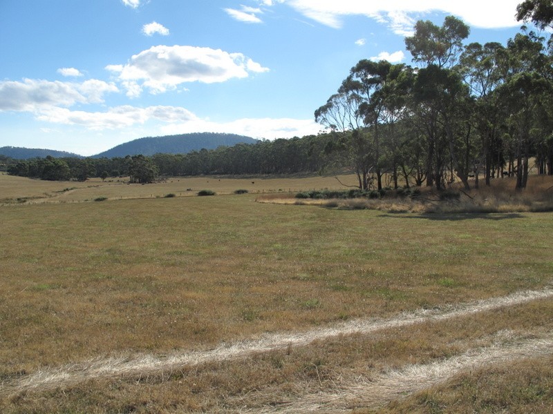 Lot 1 Prebbles Road, Copping TAS 7174