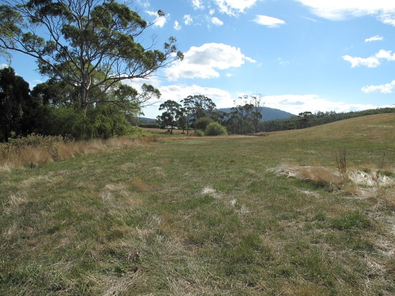 Lot 1 Prebbles Road, Copping TAS 7174