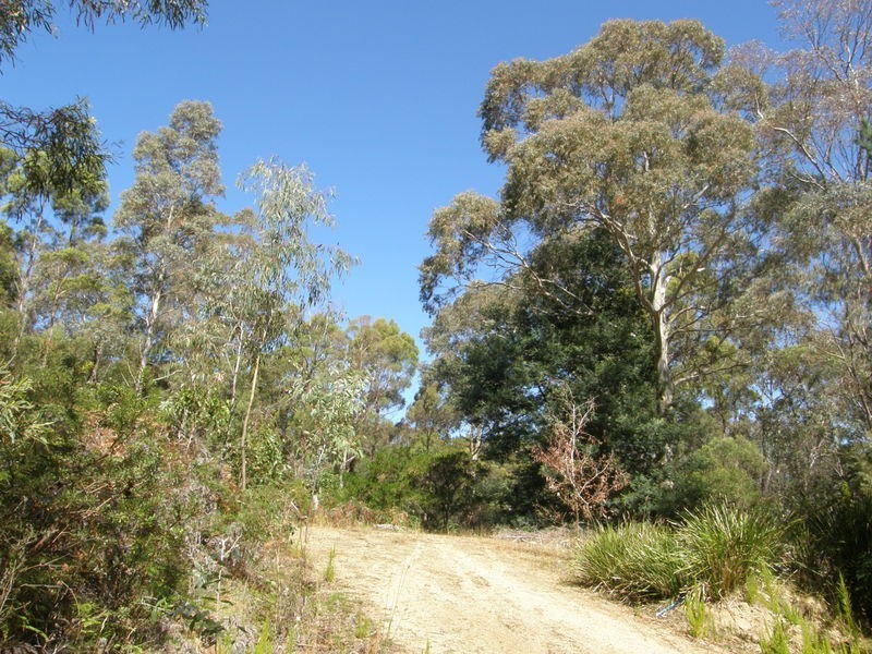 Lot 1 Lillian Street, Taranna TAS 7180