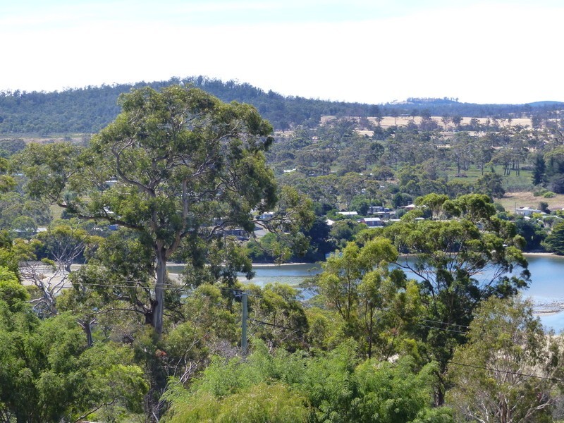 13 Wedgetail Street, Primrose Sands TAS 7173