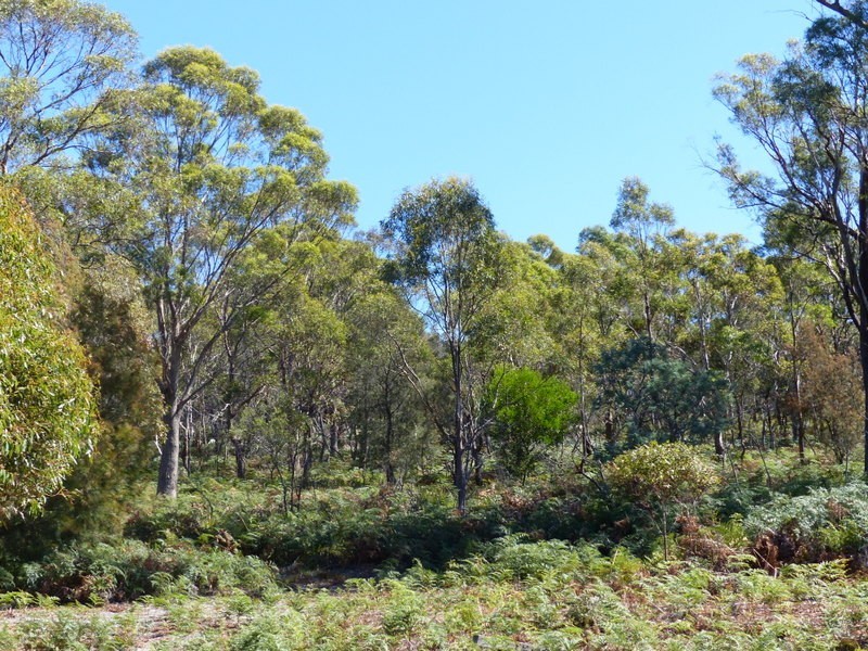 13 Wedgetail Street, Primrose Sands TAS 7173
