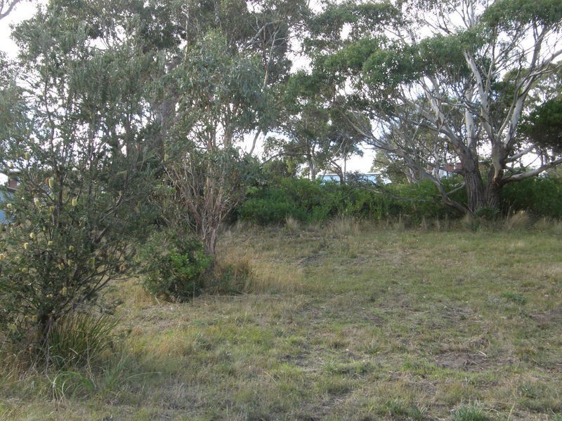 558 Primrose Sands Road, Primrose Sands TAS 7173