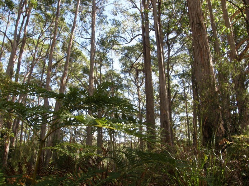 2200 Nubeena Road, Nubeena TAS 7184