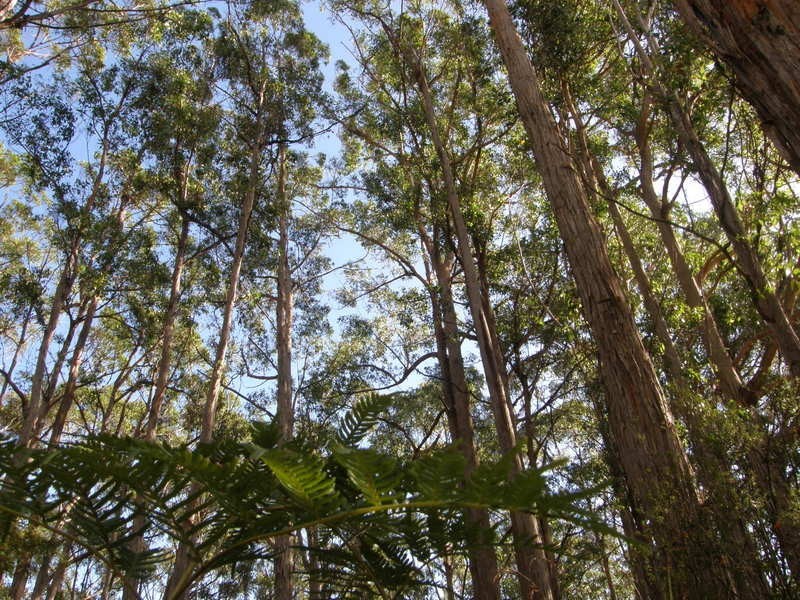 2200 Nubeena Road, Nubeena TAS 7184