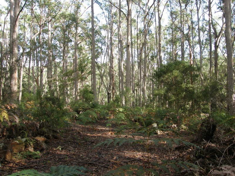 2200 Nubeena Road, Nubeena TAS 7184