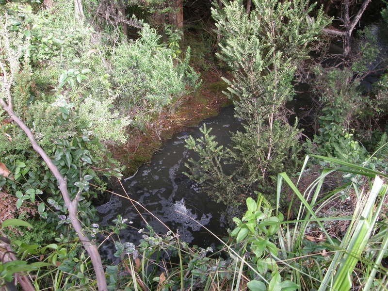 2200 Nubeena Road, Nubeena TAS 7184