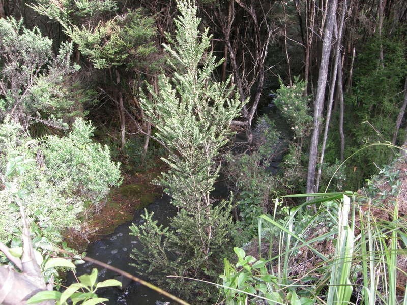 2200 Nubeena Road, Nubeena TAS 7184