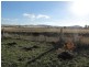 73 East Orielton Road, Orielton TAS 7172