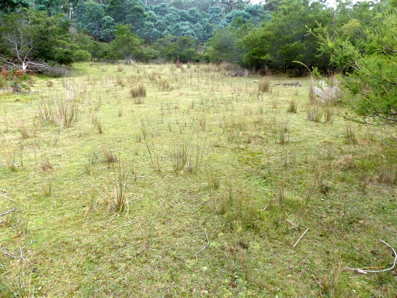 406 Gilling Brook Road, Forcett TAS 7173