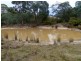 406 Gilling Brook Road, Forcett TAS 7173