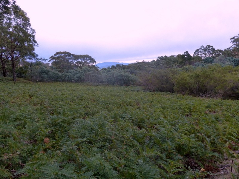 406 Gilling Brook Road, Forcett TAS 7173