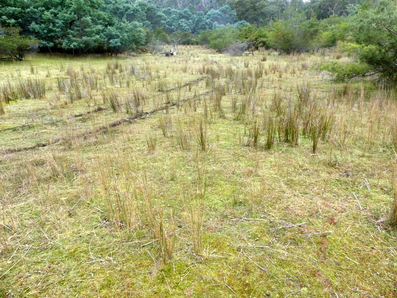 406 Gilling Brook Road, Forcett TAS 7173