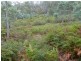 406 Gilling Brook Road, Forcett TAS 7173