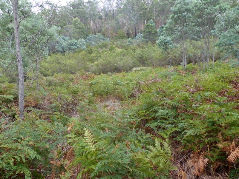 406 Gilling Brook Road, Forcett TAS 7173