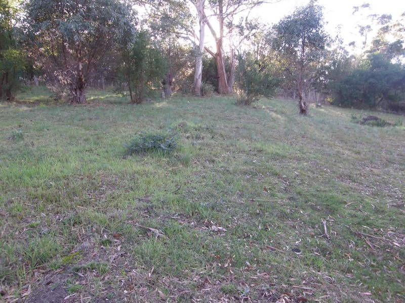 218 Lewisham Scenic Drive, Lewisham TAS 7173