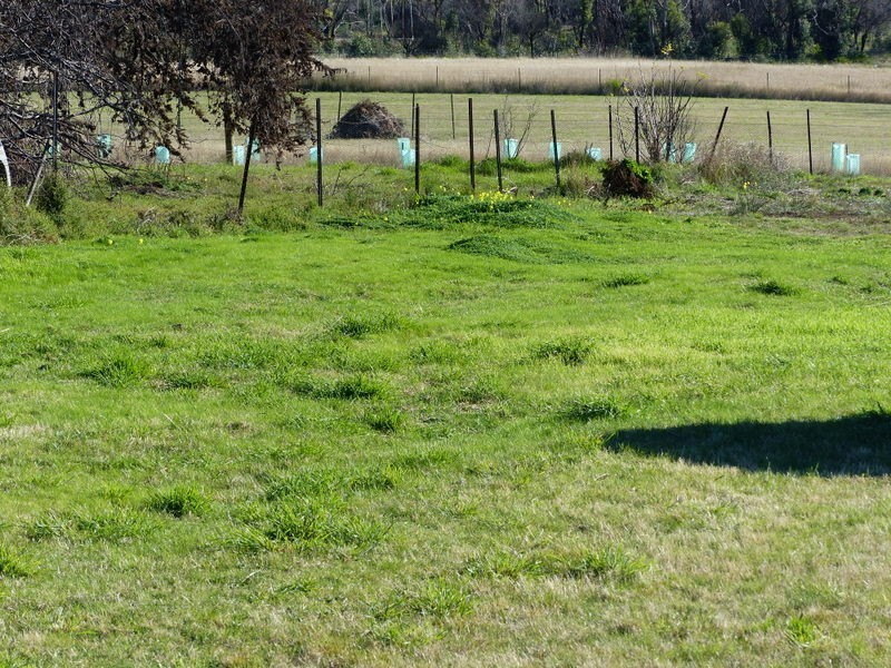 78 Arthur Highway, Dunalley TAS 7177