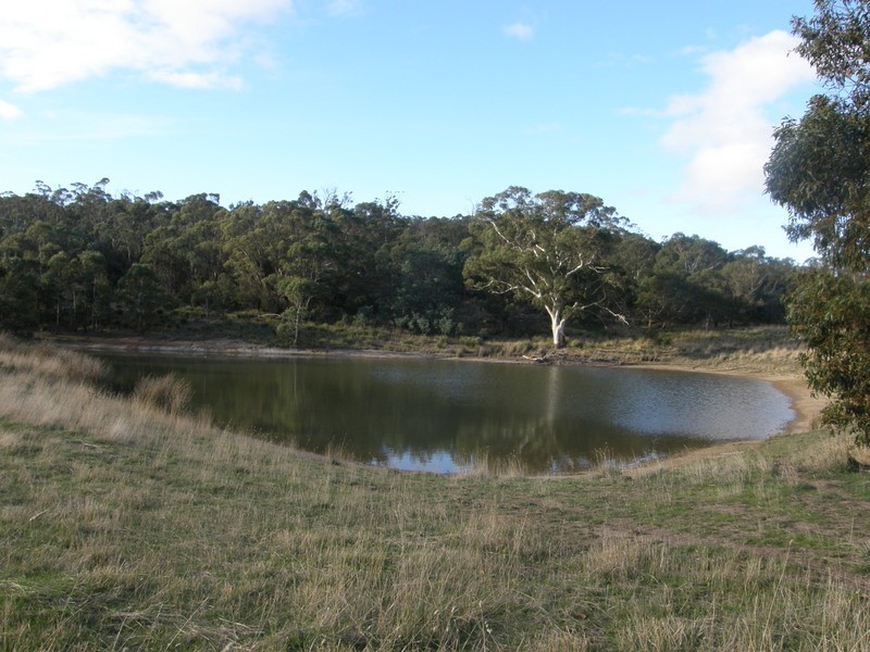 43 Logie Farm Road, Orielton TAS 7172