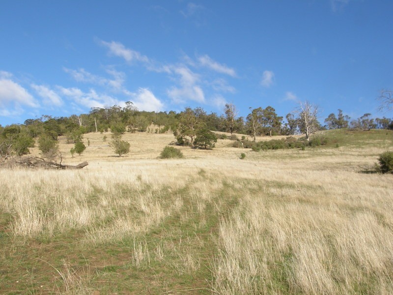 43 Logie Farm Road, Orielton TAS 7172