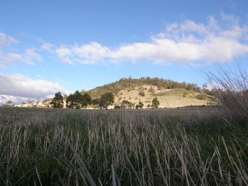 43 Logie Farm Road, Orielton TAS 7172