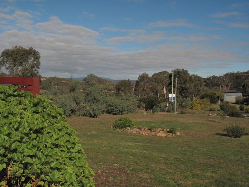 Carlton TAS 7173