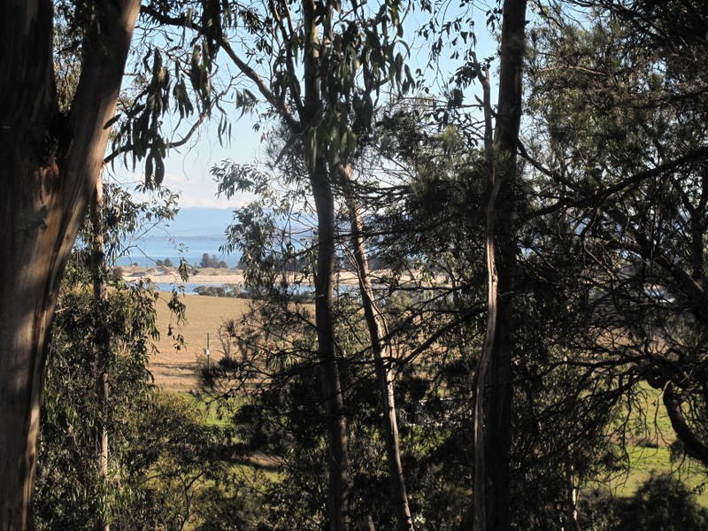 10 Bowden Court, Forcett TAS 7173