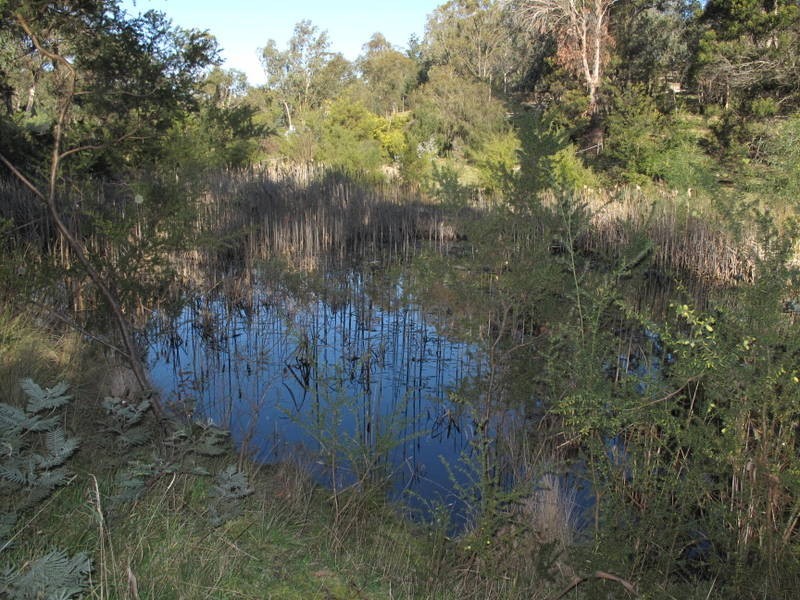 10 Bowden Court, Forcett TAS 7173