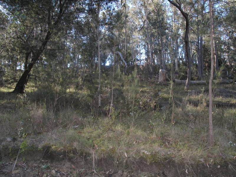 10 Bowden Court, Forcett TAS 7173