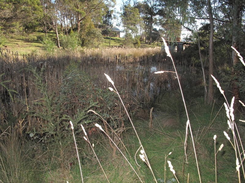 10 Bowden Court, Forcett TAS 7173