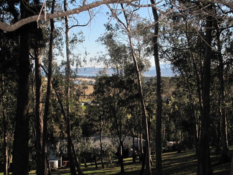 10 Bowden Court, Forcett TAS 7173