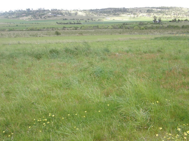 373 Pawleena Road, Pawleena TAS 7172