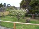3 Roebuck Street, Warrane TAS 7018