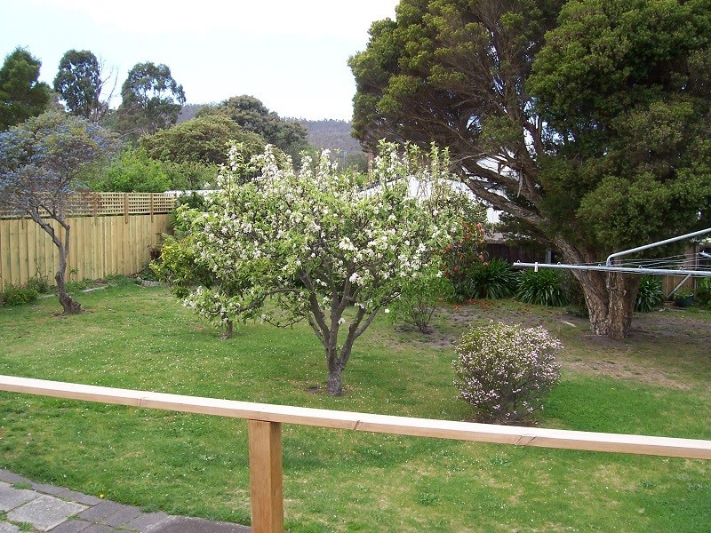 3 Roebuck Street, Warrane TAS 7018