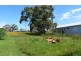 2 Lukeekah Street, Dodges Ferry TAS 7173