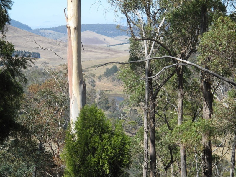 151 Link Road, Colebrook TAS 7027