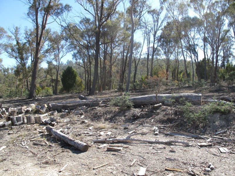 151 Link Road, Colebrook TAS 7027