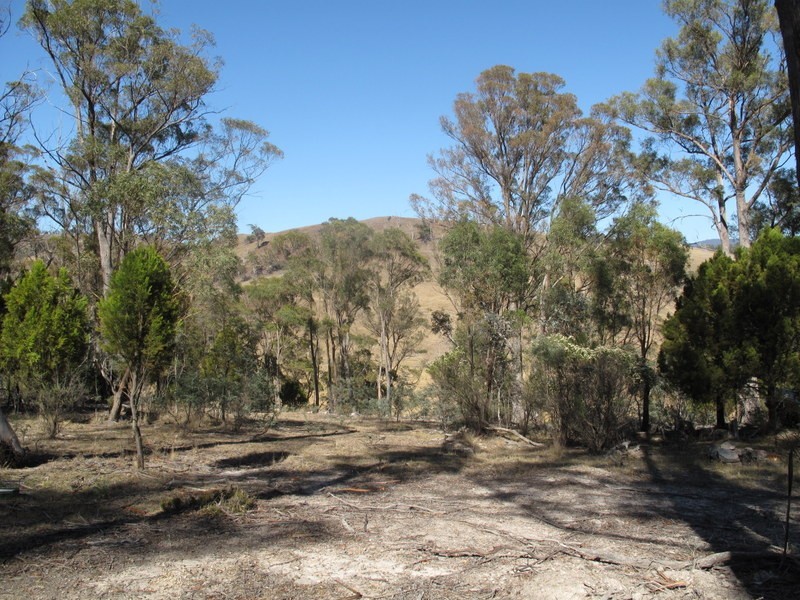 151 Link Road, Colebrook TAS 7027