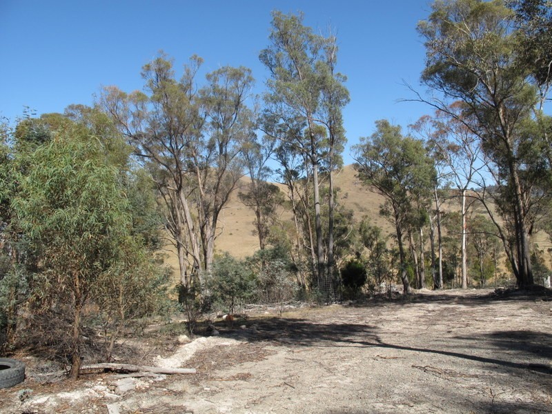 151 Link Road, Colebrook TAS 7027