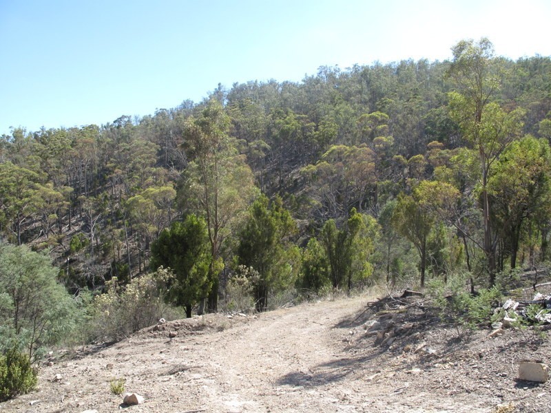 151 Link Road, Colebrook TAS 7027