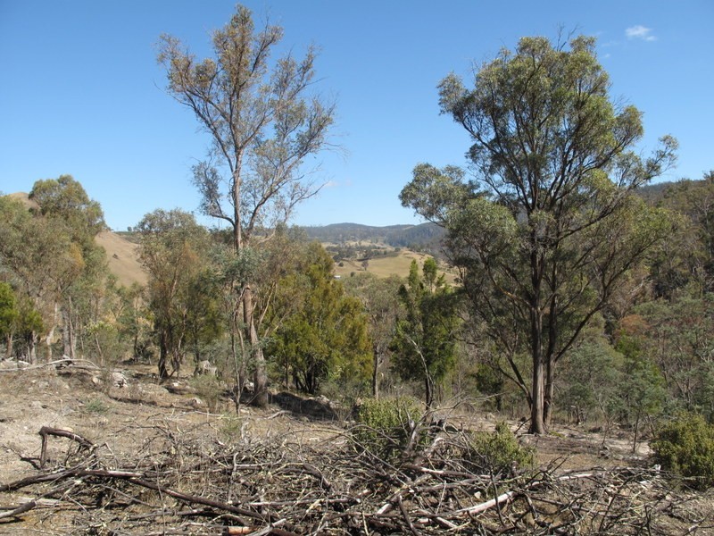 151 Link Road, Colebrook TAS 7027