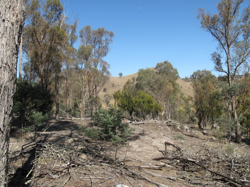 151 Link Road, Colebrook TAS 7027