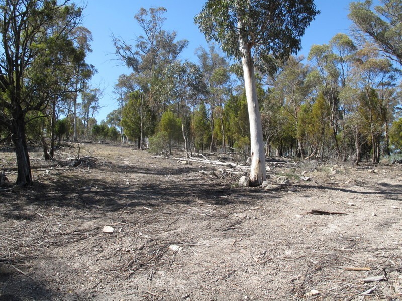 151 Link Road, Colebrook TAS 7027