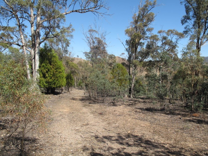 151 Link Road, Colebrook TAS 7027