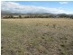 Lot 5 , 2637 Tasman Highway, Sorell TAS 7172